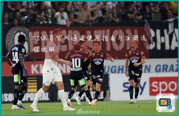 ng体育官网通道使用指南与注册流程说明