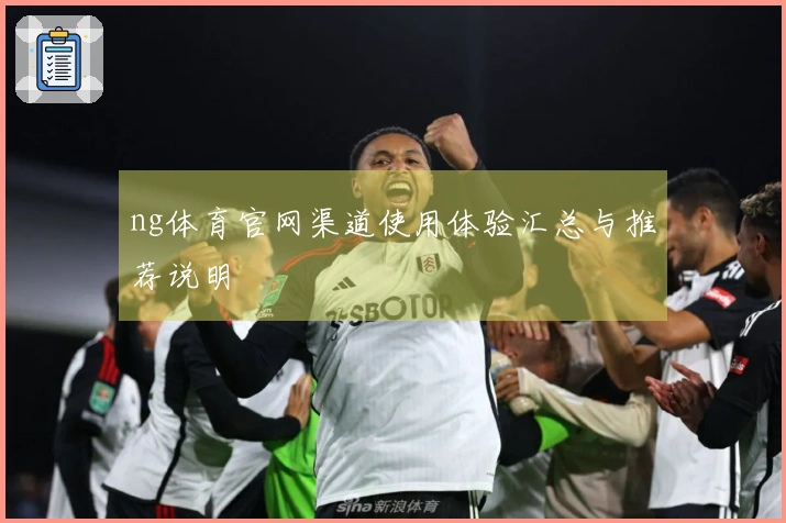 ng体育官网渠道使用体验汇总与推荐说明