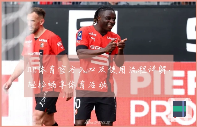 ng体育官方入口及使用流程详解，轻松畅享体育活动