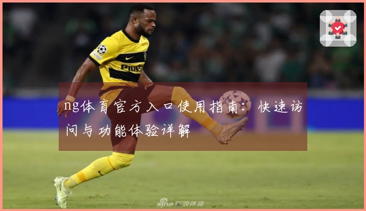 ng体育官方入口使用指南：快速访问与功能体验详解
